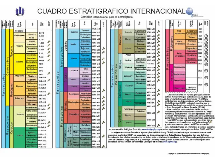 GRUPO ADVENTISTA PALEONTOLOGICO - GALERIA - IMAGENES FOSILES ... GRUPO ADVENTISTA PALEONTOLOGICO - GALERIA - IMAGENES FOSILES ...