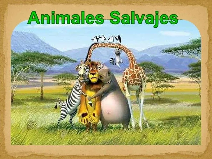 Grupo 6. animales salvajes (primaria)