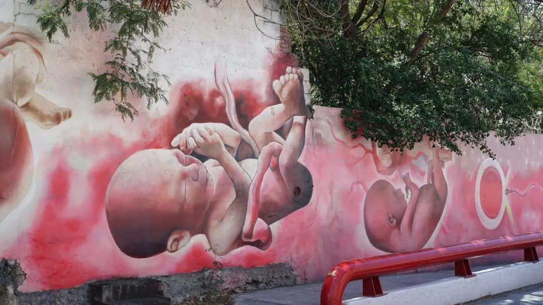 Grupo antiabortista vinculado a EEUU apunta a las mujeres en la frontera de México | Zona Docs Grupo antiabortista vinculado a EEUU apunta a las mujeres en la frontera de México | Zona Docs
