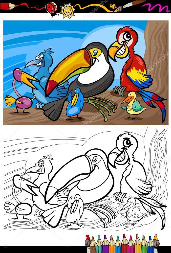Grupo de aves exóticas para colorear libro — Vector stock ... Grupo de aves exóticas para colorear libro — Vector stock ...