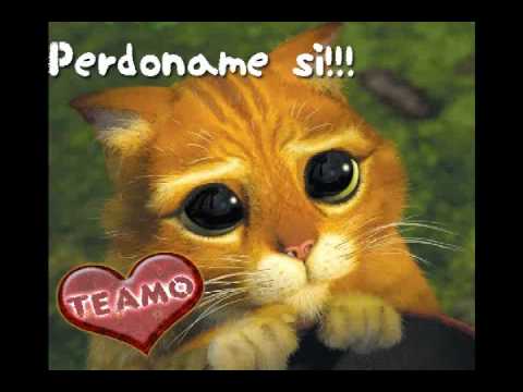 GRUPO BLACK POWER - DISCULPAME Y PERDONAME EXITO 2009 - YouTube GRUPO BLACK POWER - DISCULPAME Y PERDONAME EXITO 2009 - YouTube