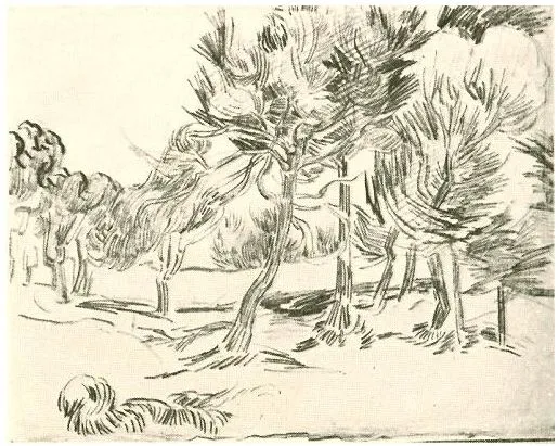 Un grupo de pinos de Vincent van Gogh | 982 | Dibujos | Lápiz Un grupo de pinos de Vincent van Gogh | 982 | Dibujos | Lápiz