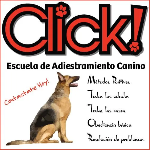 GSD-Ad-Click-03.jpg