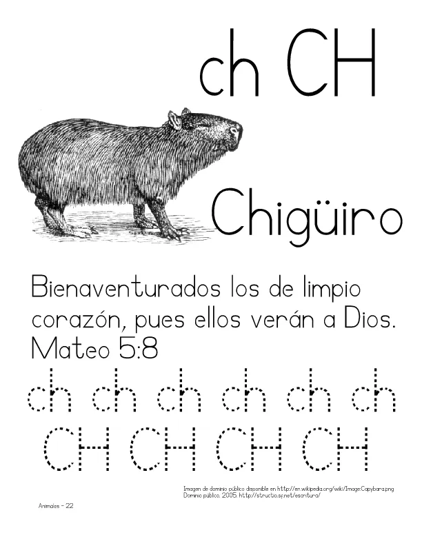 GuÃas de lectoescritura: Animales