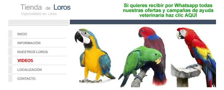Tipos, Clases, Razas, Especies, Loros, Tienda de Loros, Venta de ... Tipos, Clases, Razas, Especies, Loros, Tienda de Loros, Venta de ...