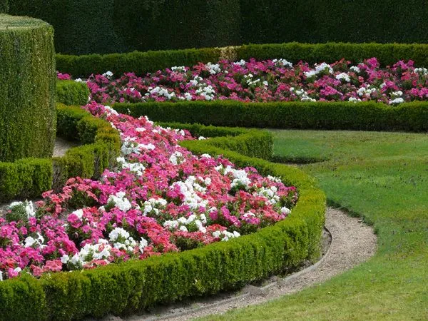 guadalupe: Jardines de flores.