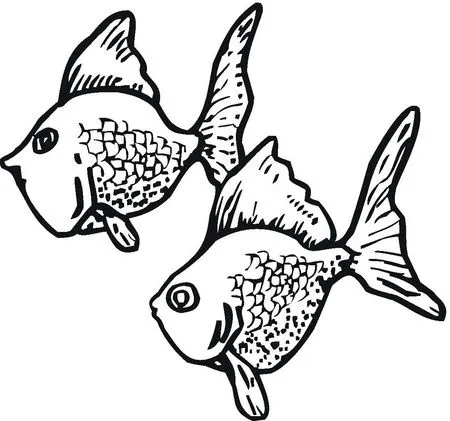 Guia acuario (Dibujos de Peces)