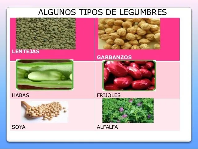 Guía para una alimentación saludable