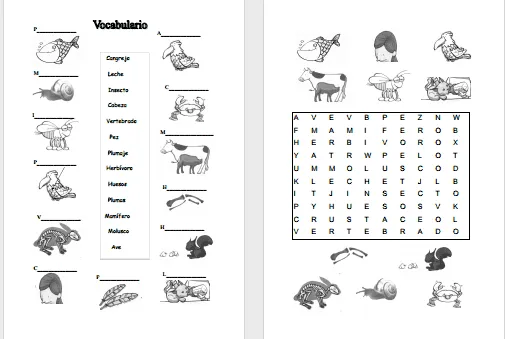 Modelos didácticos para primaria: Animales vertebrados e ... Modelos didácticos para primaria: Animales vertebrados e ...