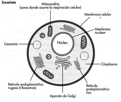 Guía de Biología para el examen de ingreso a la UNAM | Plusformación