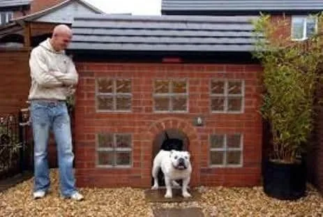 Guia Para Comprar Casas para Perros Ideales Guia Para Comprar Casas para Perros Ideales