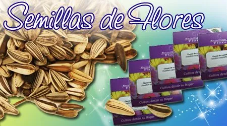 Guía para cultivar flores (ornamentales) : .: Hydro Environment .: