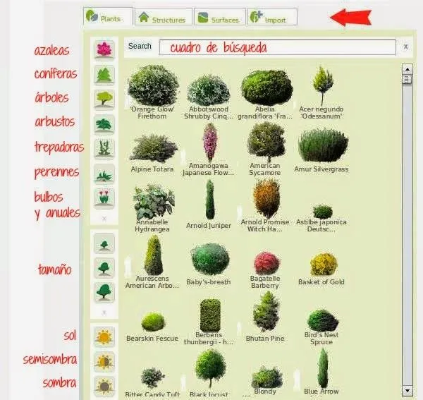 Los Nombres De Las Planta En Inglés Imagui