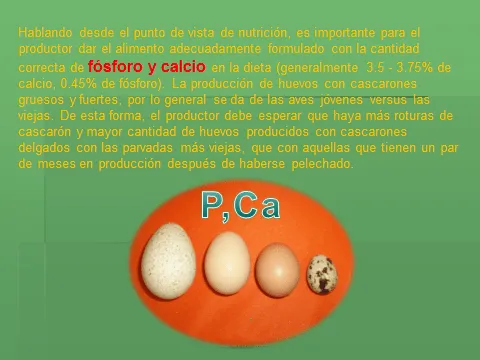 Guia para negocios de Agricultura, Ganaderia y Forestales: COMO SE ...