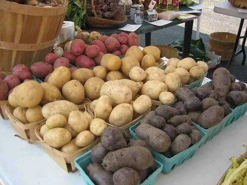GUIA DE REFERENCIA SOBRE LAS PATATAS DE CULTIVO - Mercado Calabajío