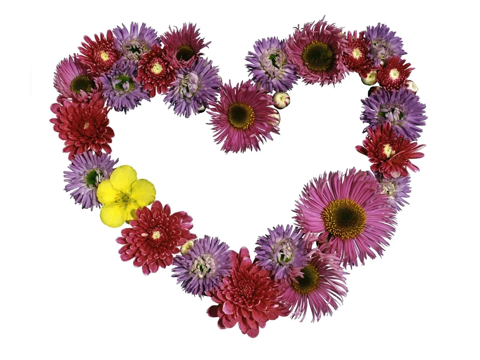 Guirnalda hecha de flores Guirnalda hecha de flores