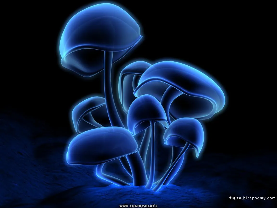 Fondos de pantalla de hongos alucinógenos - Imagui