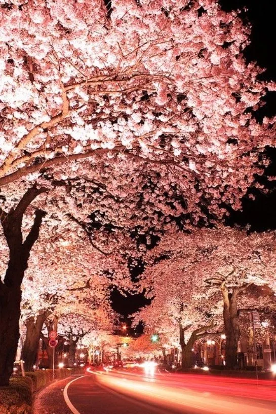 Y que te gusta de japón? - Chismes Mundo | Chismes Mundo Y que te gusta de japón? - Chismes Mundo | Chismes Mundo