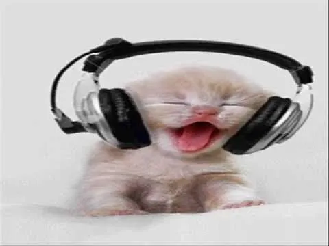 A ELLOS LES GUSTA LA MUSICA TAMBIEN.wmv - YouTube A ELLOS LES GUSTA LA MUSICA TAMBIEN.wmv - YouTube