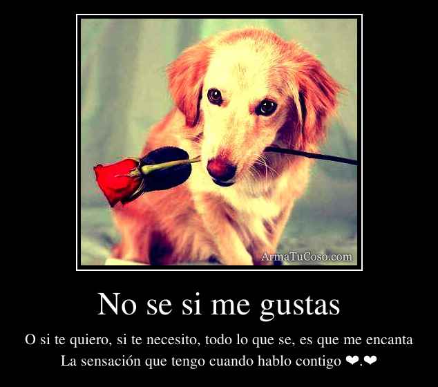 No se si me gustas