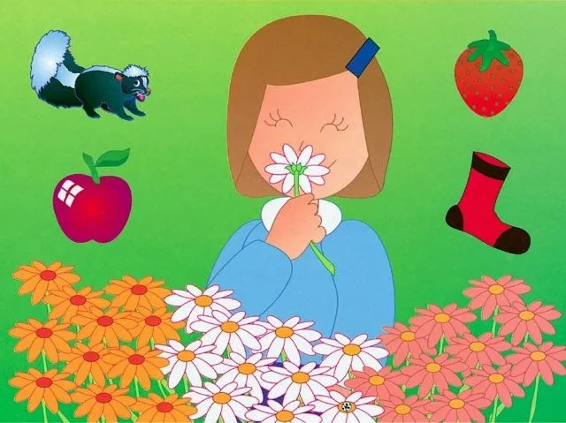 El gusto y el olfato en Educación Infantil