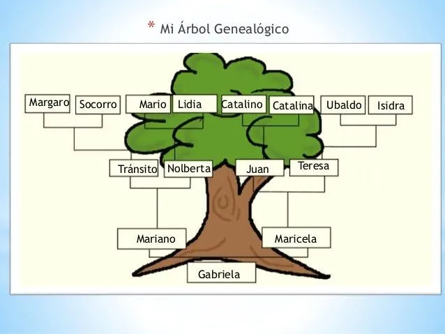 gv-act2-rbol-genealgico-2-638. ...