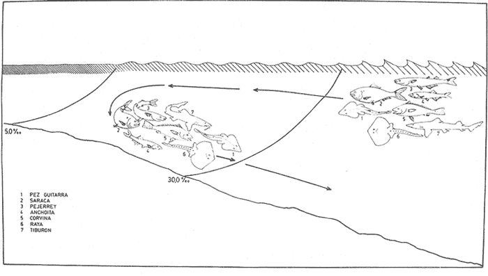 h174a.gif