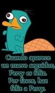 habeis hecho muy feliz a perry el ornitorrinco xdddd