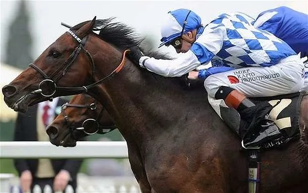 Habilidades del Profesor: CABALLOS DE CARRERAS