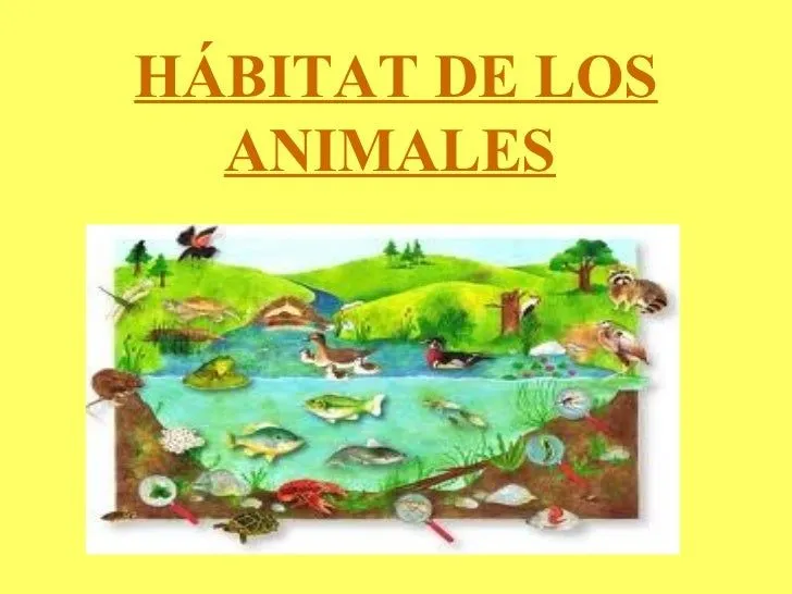 Hábitat de los animales