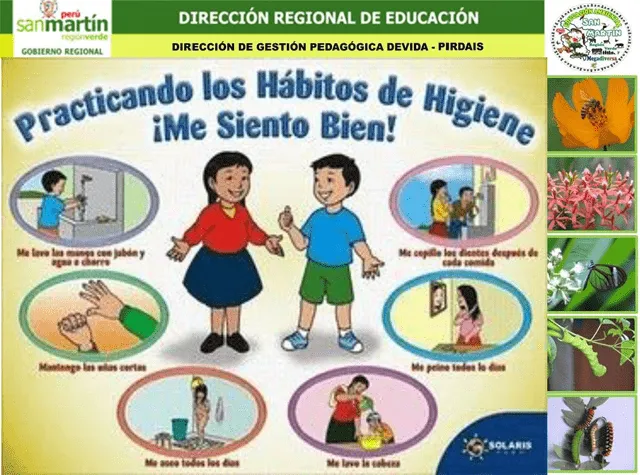 Hábitos de higiene y alimentación saludable - Monografias.com Hábitos de higiene y alimentación saludable - Monografias.com