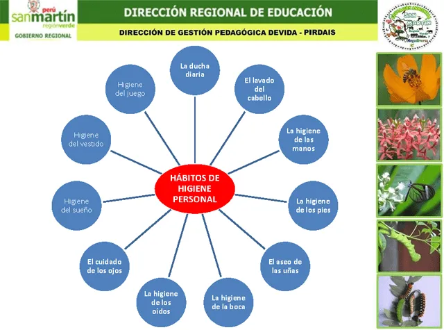 Hábitos de higiene y alimentación saludable - Monografias.com Hábitos de higiene y alimentación saludable - Monografias.com