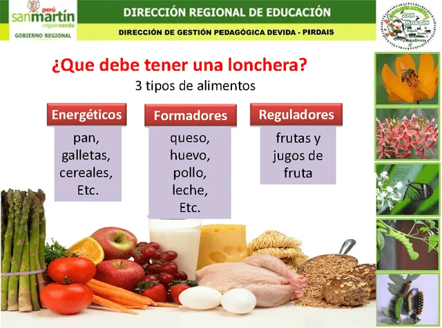 Hábitos de higiene y alimentación saludable - Monografias.com Hábitos de higiene y alimentación saludable - Monografias.com