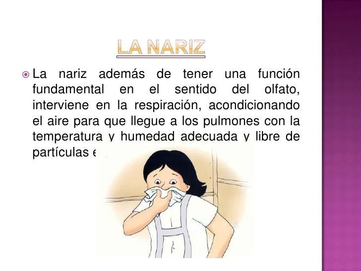 hbitos-de-higiene-y-salud-en- ...