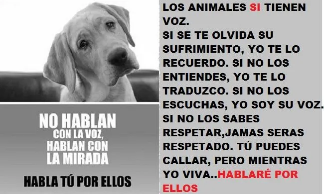 hablan+con+la+miradaBB.jpg