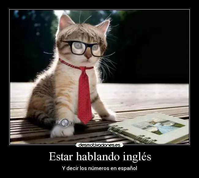 Estar hablando inglés | Desmotivaciones