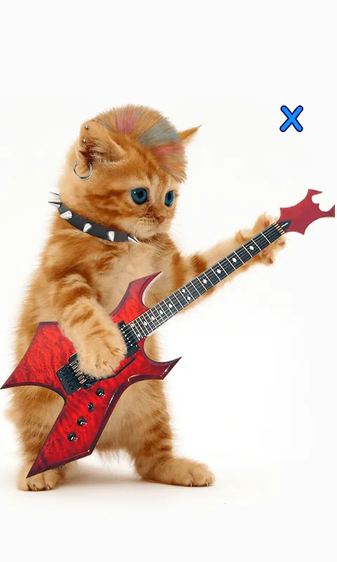 Hablar, bailando gato. - Aplicaciones de Android en Google Play Hablar, bailando gato. - Aplicaciones de Android en Google Play