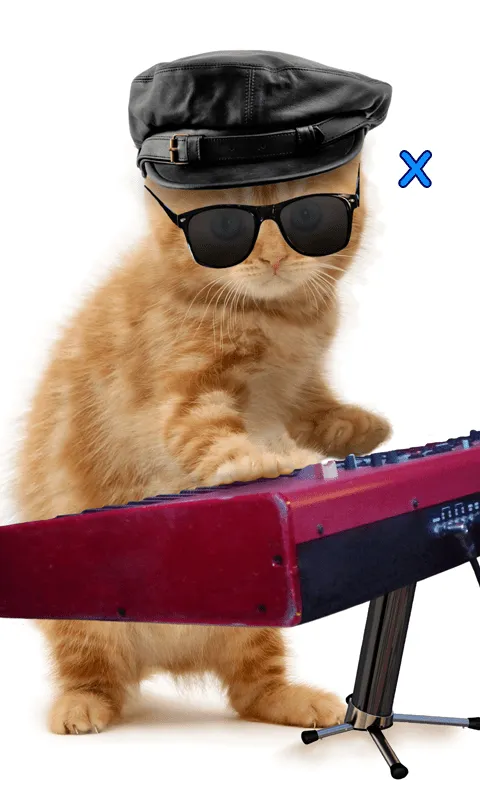 Hablar, bailando gato. - Aplicaciones de Android en Google Play Hablar, bailando gato. - Aplicaciones de Android en Google Play