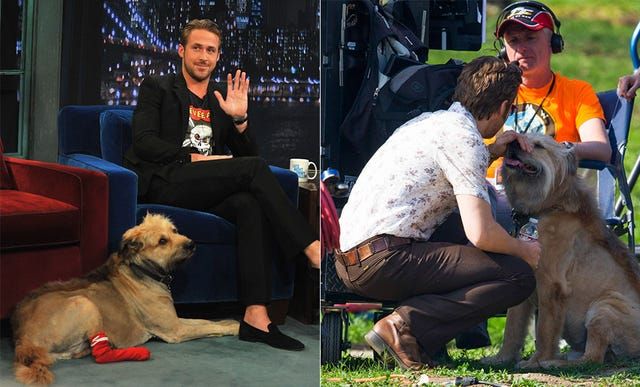Hablemos del collar (de perro) que Ryan Gosling no se quita