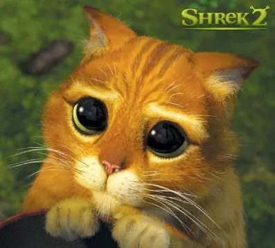 Que hacer: El gato de Shrek en la vida real Que hacer: El gato de Shrek en la vida real
