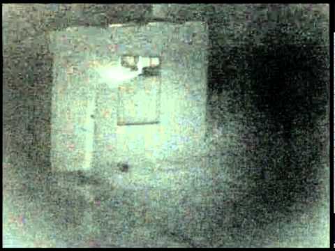Hadas reales encontradas vivas - Imagui
