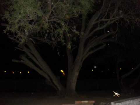 hadas reales y esferas de luz en el foco tonal hunab ku - YouTube