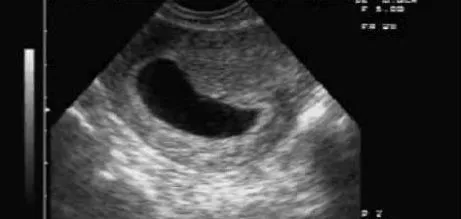 Hágame un hijo, doctor: Espere a que me ponga la ropa interior Hágame un hijo, doctor: Espere a que me ponga la ropa interior