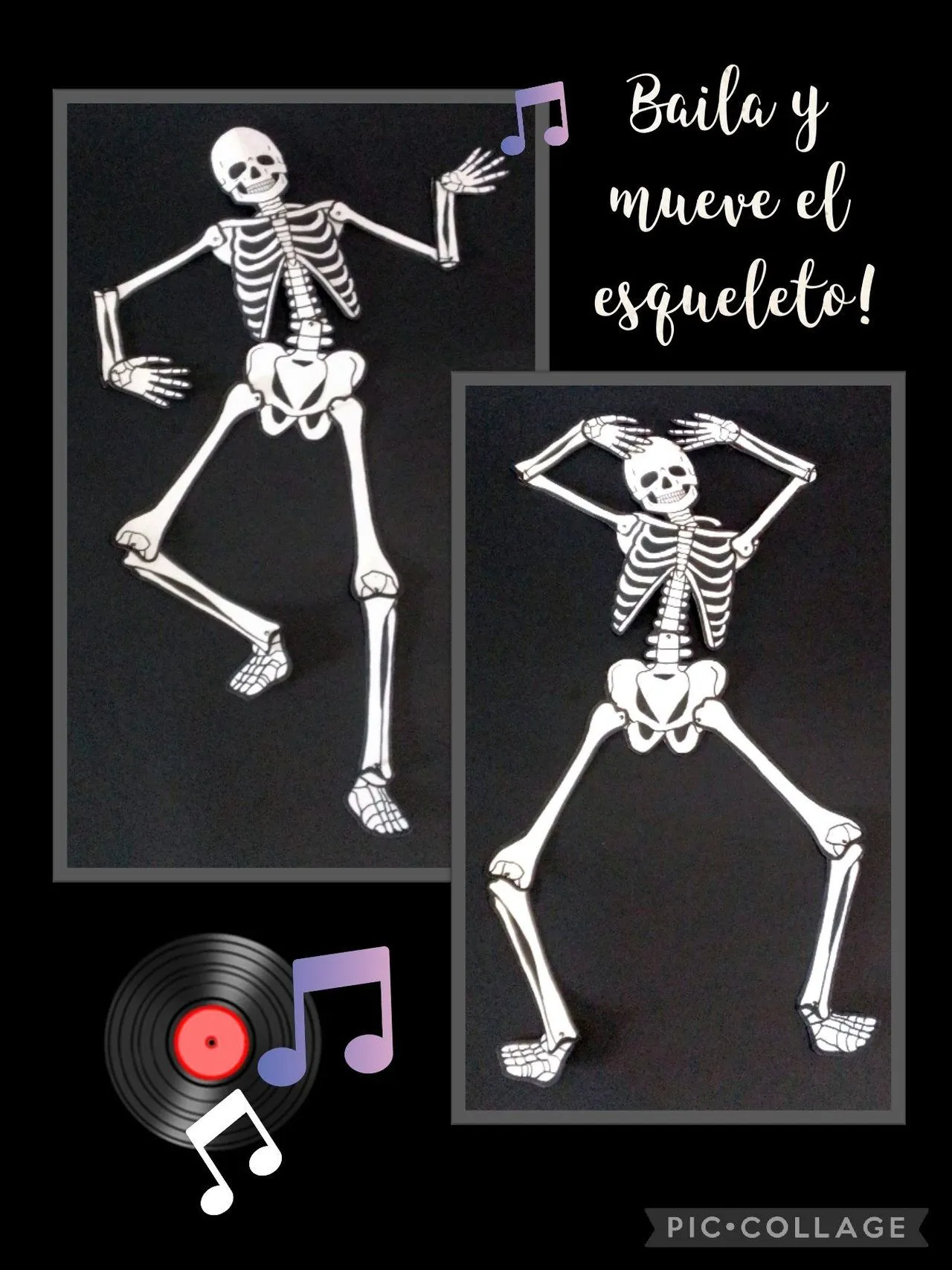 Hagamos un Esqueleto de cartón y conoce sus huesos principales. (Reciclando) Let's make a cardboard skeleton and get to know its main bones (Recycling). | PeakD Hagamos un Esqueleto de cartón y conoce sus huesos principales. (Reciclando) Let's make a cardboard skeleton and get to know its main bones (Recycling). | PeakD