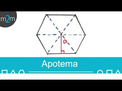 Halla el apotema de un hexágono regular @ math2me.com