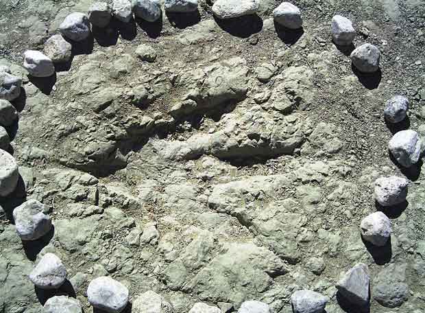 Huellas de dinosaurios para imprimir - Imagui