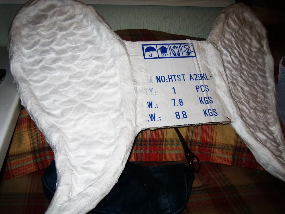 Halloween \'08 (\ Halloween \'08 (\