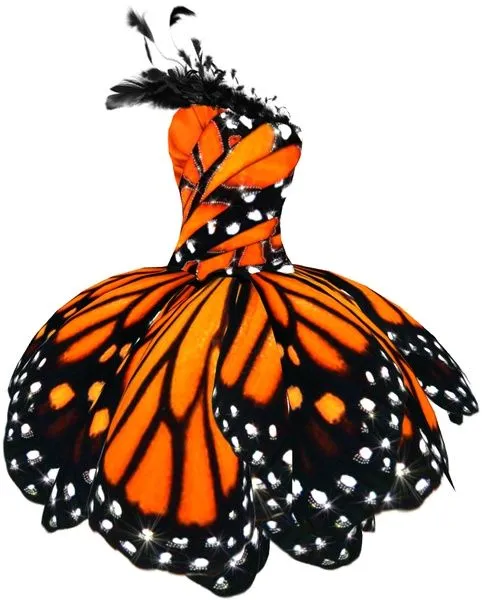 De Halloween - Vestido De La Mariposa Monarca #2060461 - Weddbook
