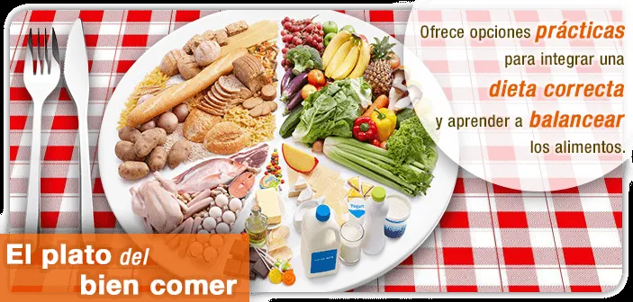 HAMBRE?... Come saludable!: Aprende a entender el Plato del Buen ... HAMBRE?... Come saludable!: Aprende a entender el Plato del Buen ...