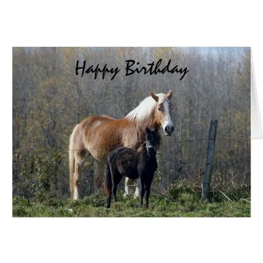 Happy Birthday Horses Greeting Card | Zazzle Happy Birthday Horses Greeting Card | Zazzle